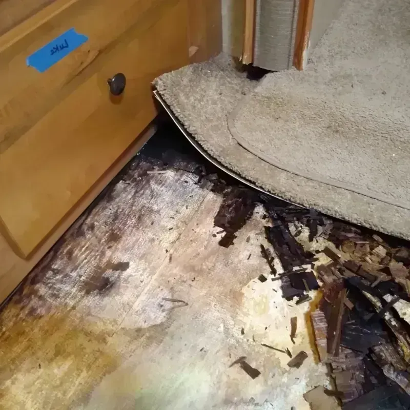 Best Wood Floor Water Damage Service in Blaine County, OK